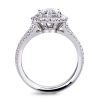 Brilliant cut diamond ring with split shank in platinum