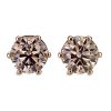 Solitaire champagne coloured diamond studs in rose gold